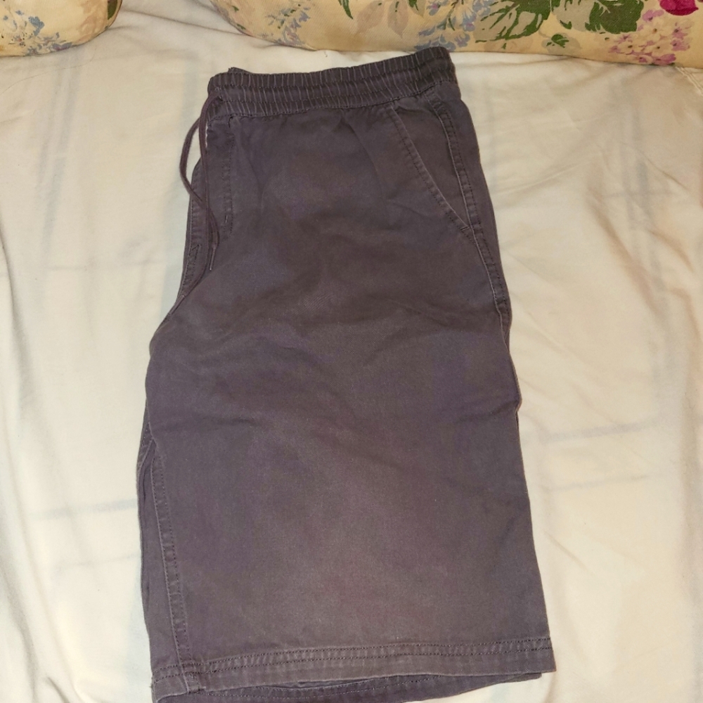 Men's DC Shorts